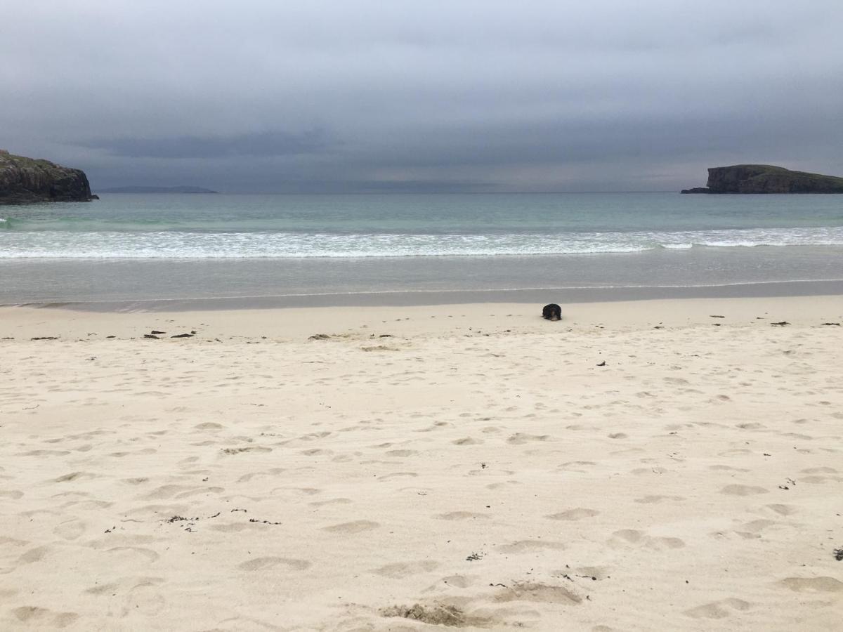 Eco Crofters Wagon By The Beach Oldshoremore Exterior foto